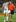 Kurt Gidley of the NRL All Stars is helped from the field with a injury knee during the match against the Indigenous All Stars on the Gold Coast. Photo / Getty Images