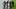 Round the Bridges



Wanganui Chronicle Photograph by Stuart Munro
WGP 22May17 -