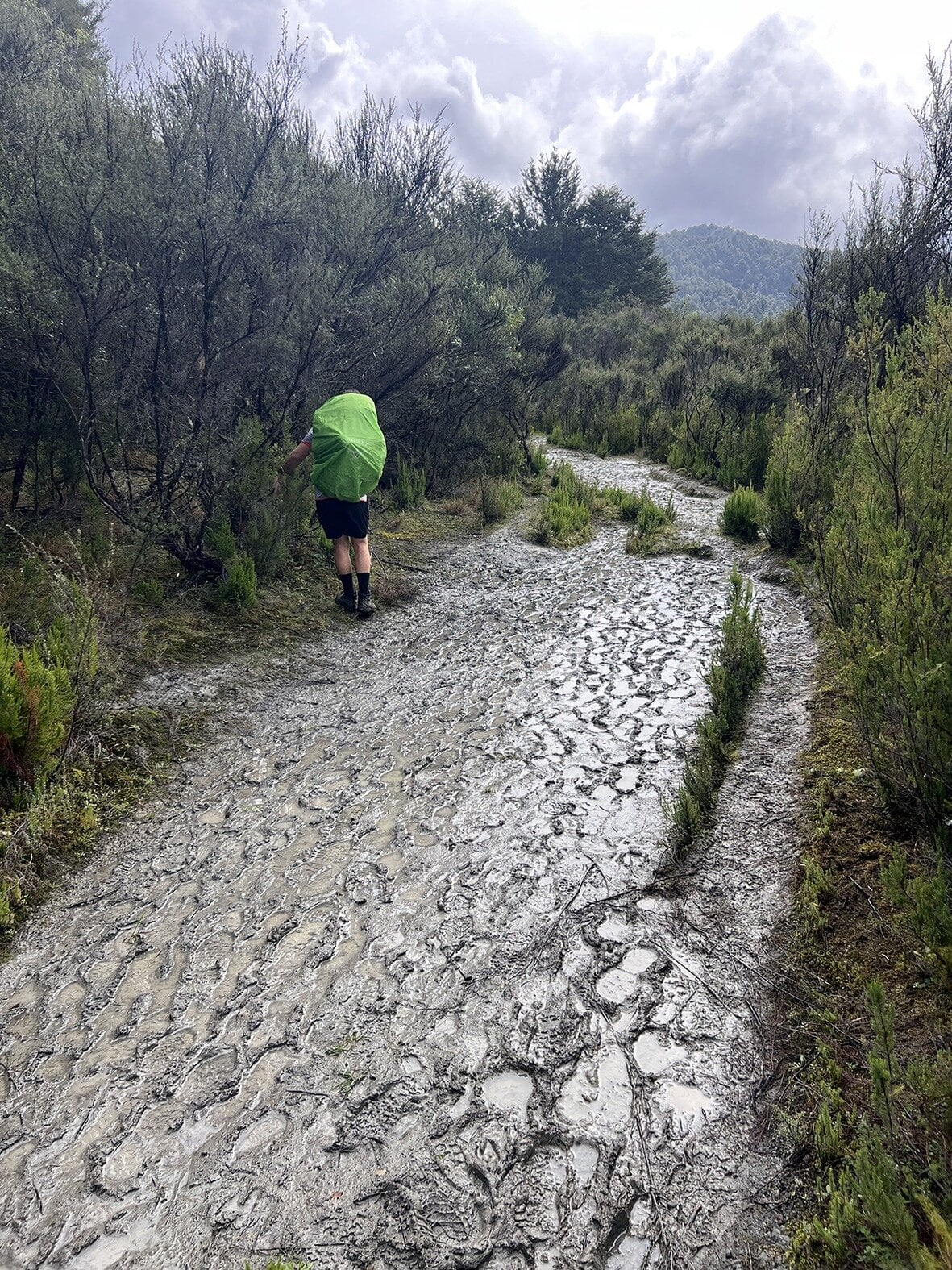  Mud! Photo / Caitlin Burns