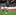 Morne Steyn of South Africa kicks a penalty during the Tri-Nations test against the All Blacks in Durban. Photo / Getty Images