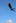 Is it a bird? Is it a plane? No, it's celebrity bomber Rewi "Hangi Master" Spraggon. Photo / Peter de Graaf