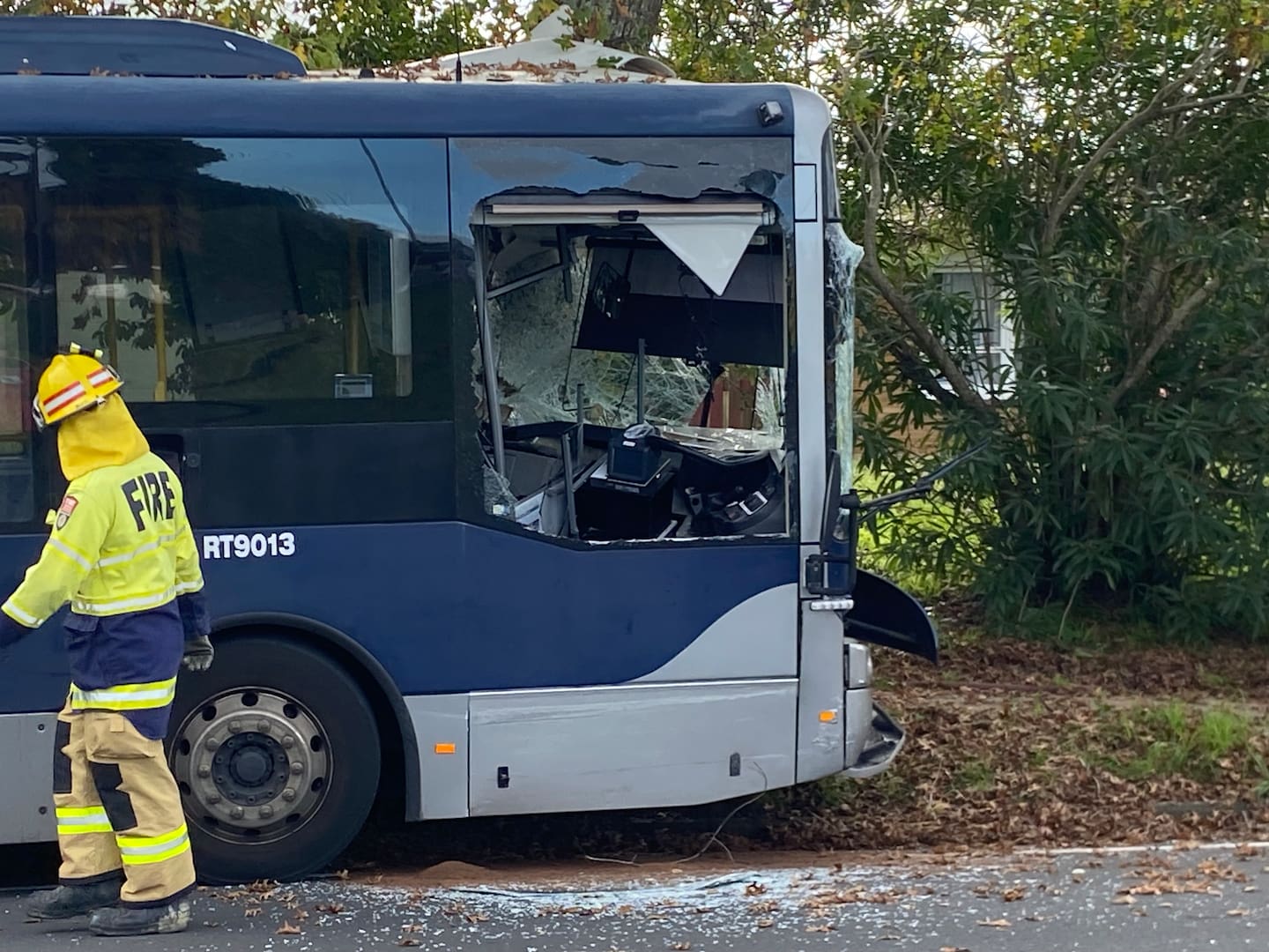 Eight people were injured when a bus crashed into a tree in South Auckland.