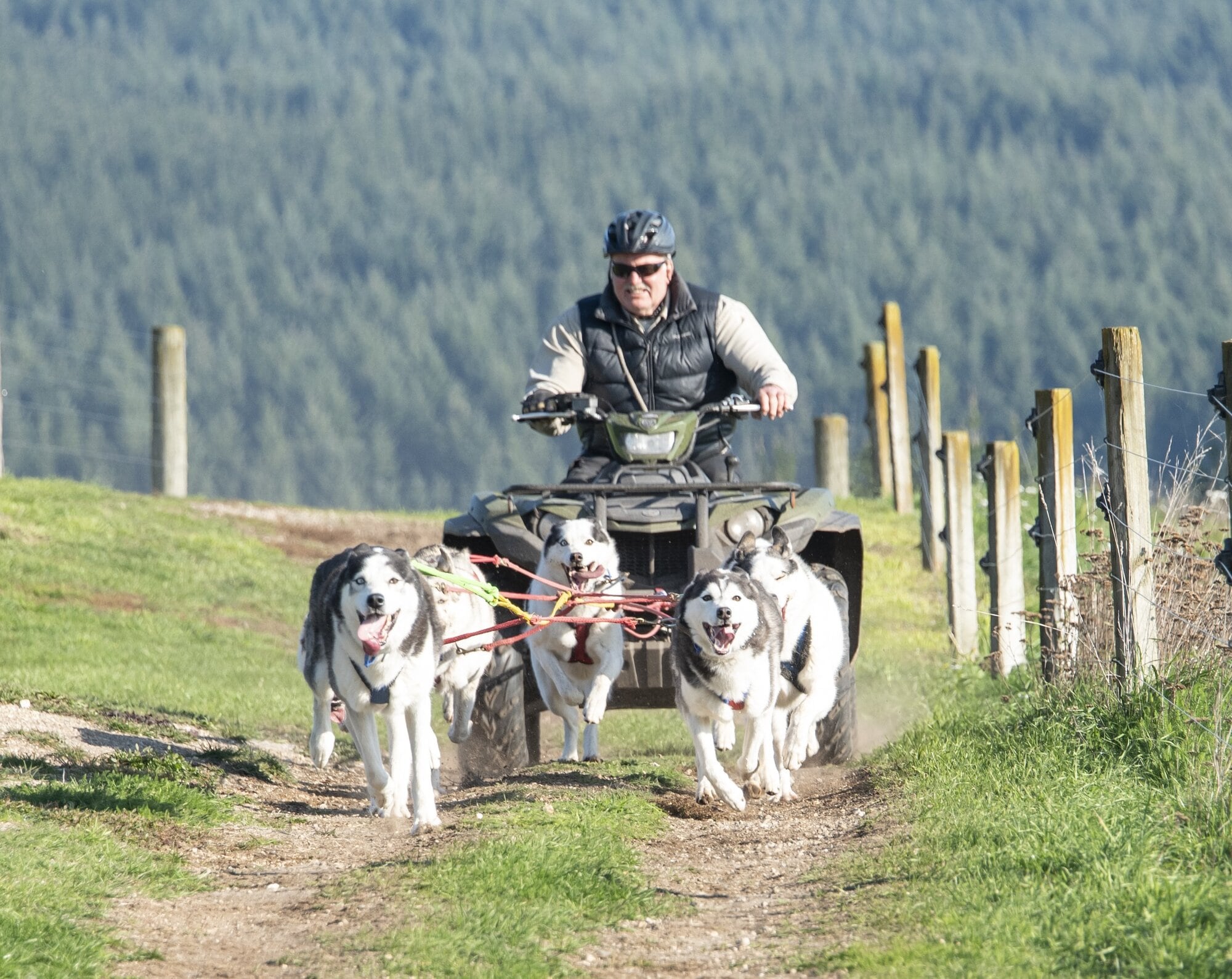  The property has an 800-metre track for exercising the huskies. Photo / Catherine Fry