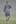 All Whites defender Tony Lochead battles tough conditions during their smoke-filled training session which was cut short at Sinaba Stadium in Johannesburg. Photo / Brett Phibbs