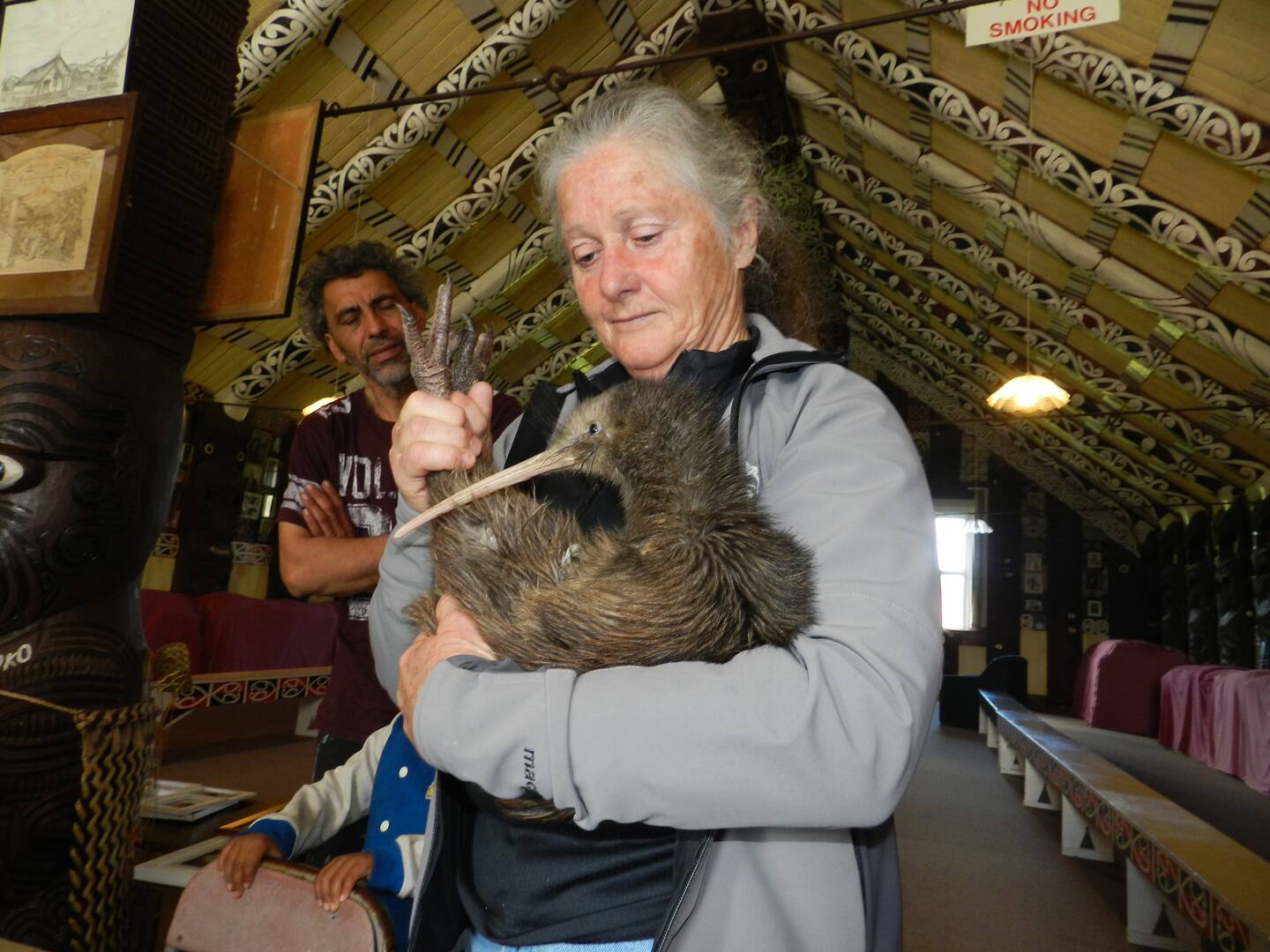 Round-the-clock rehabilitation enabled a kiwi who suffered life-threatening injuries after being caught in a leg-hold possum trap to be returned to her maunga at Mangamuka in 2016. It was one last cuddle for Owhata from Kiwis for Kiwi advocate Wendy Sporle at Mangamuka Marae before her return to the wild.