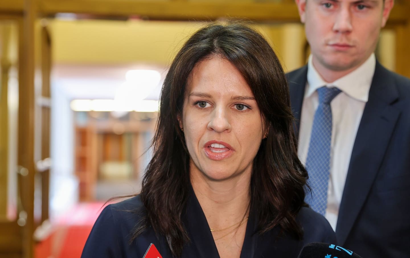 Education Minister Erica Stanford believes the portal will benefit parents. Photo / Mark Mitchell