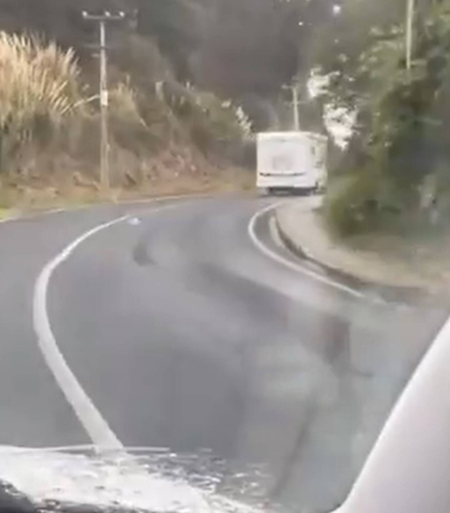 A witness who followed the campervan claims the driver was on the wrong side of the road for more than five minutes.