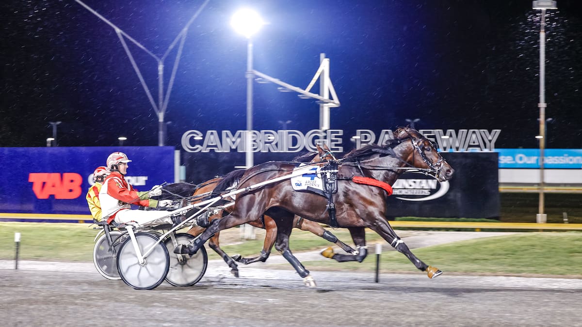 Racing: Arcee Phoenix carries Svanosio to blazing glory Racing: Arcee Phoenix carries Svanosio to blazing glory