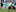 New Zealand's Caleb Clarke and Ardie Savea, right, react following the Tri-Nations rugby test between Argentina and New Zealand. Photo / AP