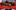 Tibetan mastiff puppies are seen atop a car on a red cloth for sale outside a convention centre at Changping, northern suburb of Beijing, China. Photo / AP