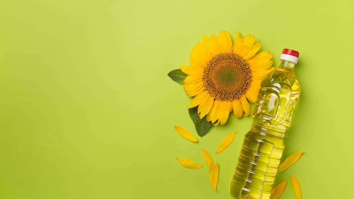 Are seed oils actually bad for you? Are seed oils actually bad for you?
