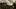 Fallout: New Vegas. Photo / Bethesda Softworks