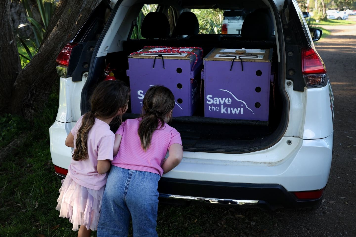 Children peer into a crate hoping to glimpse a kiwi outside Piritahi Marae, Te Motu-ārai-roa Waiheke Island. Photo / Sylvie Whinray