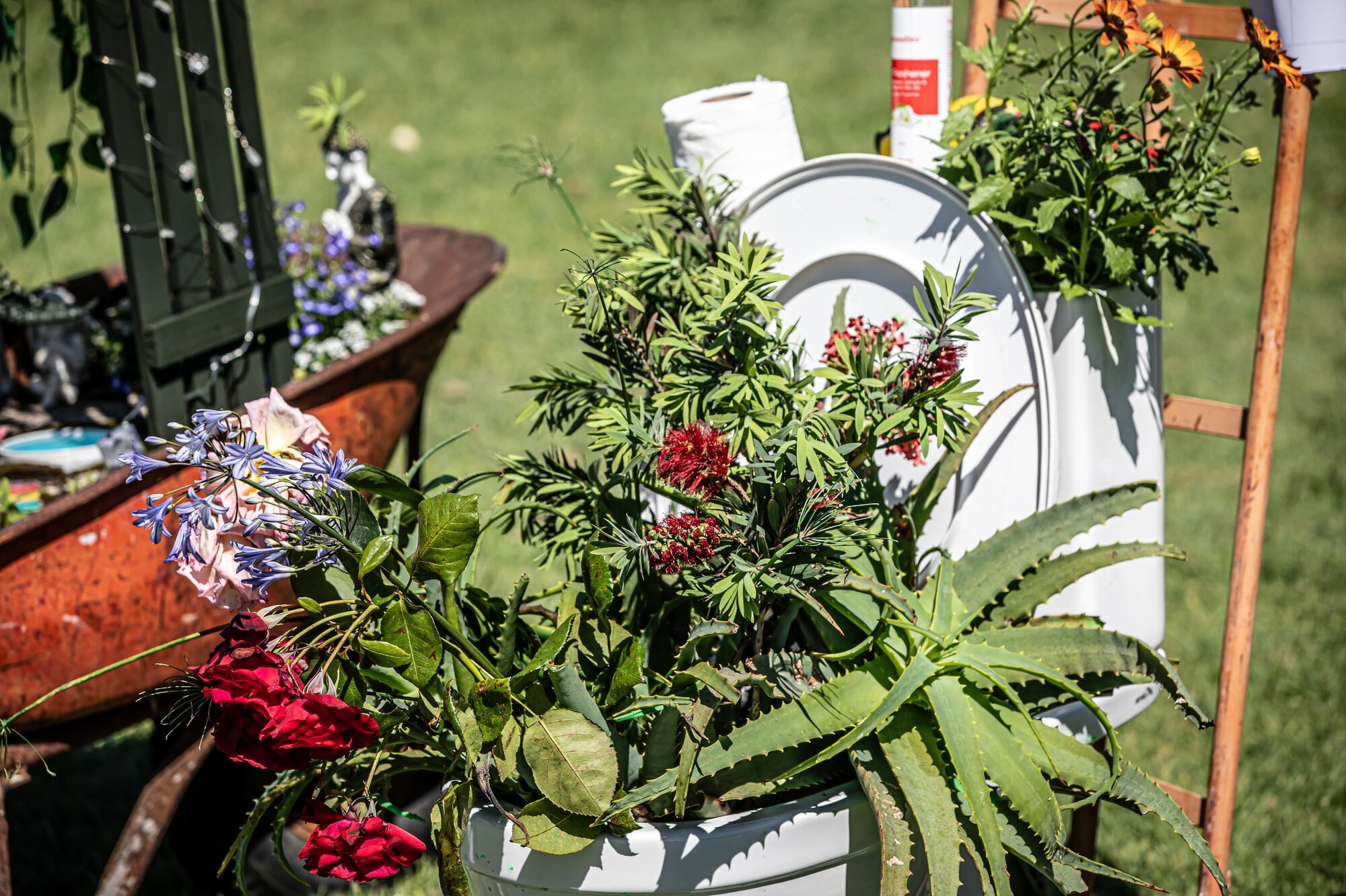  The creators of the toilet garden made sure it qualified as a Gardens on Wheels by putting it on a trolley. Photo / Stephen Fawcett, The Vector Group