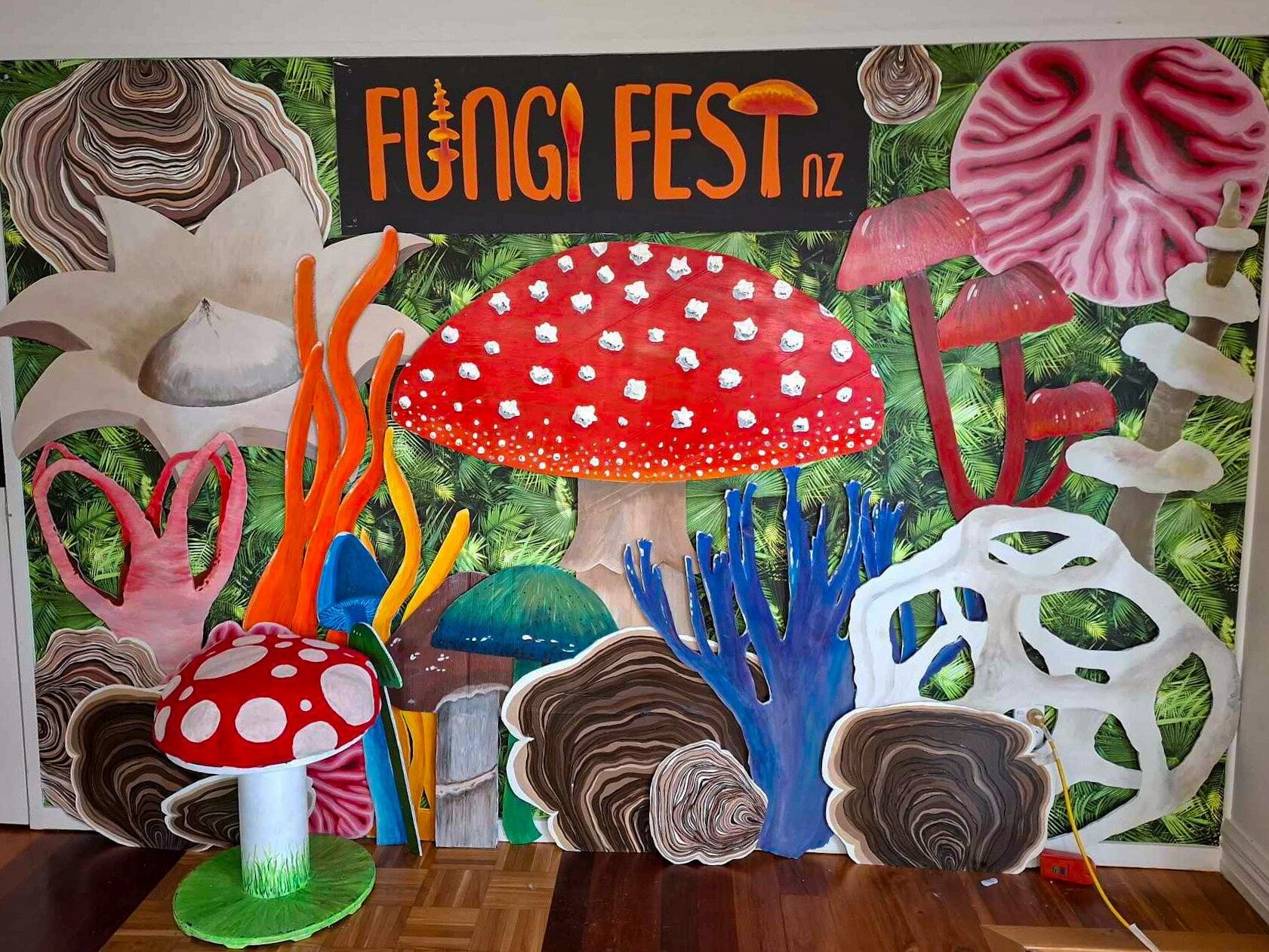  The fungi photo wall at the Fungi Fest. Photo / Supplied