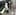 A security camera image captures teenagers trying to break into a store in Hamilton. Photo / NZ Police
