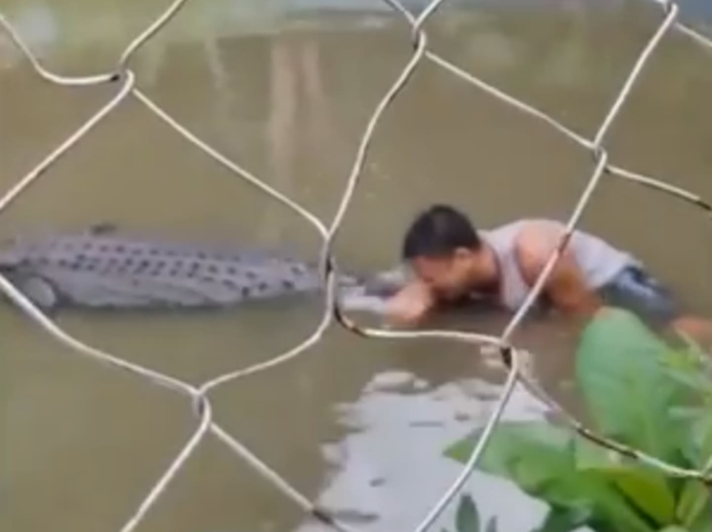The man was attacked after trying to a selfie.