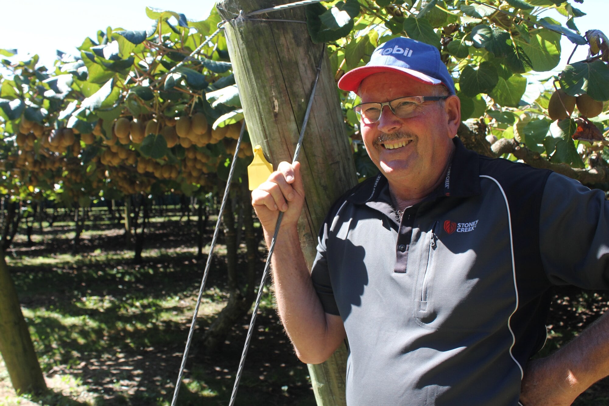  Terry Hobart on his property at Matahui. Photos / Debbie Griffiths