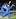 India captain Virat Kohli misses snaffling Martin Guptill at first slip in one of a rash of mis-fields from the tourists at Seddon Park, Hamilton. Photo / Photosport
