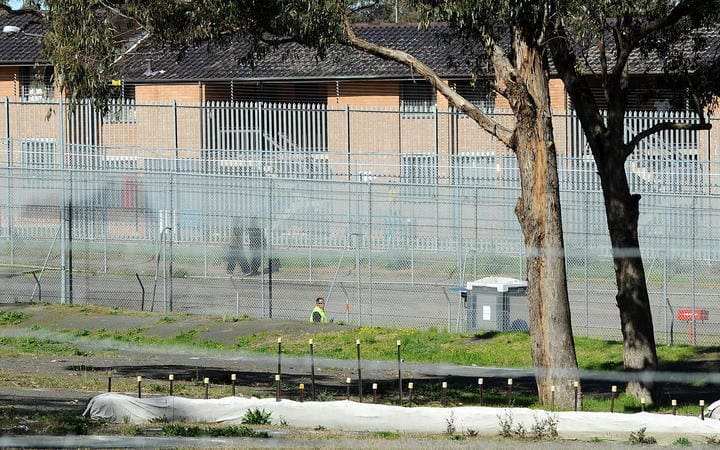 NZ woman Teresa Awhina Rangi warned by Australia three times before becoming a 501 deportee