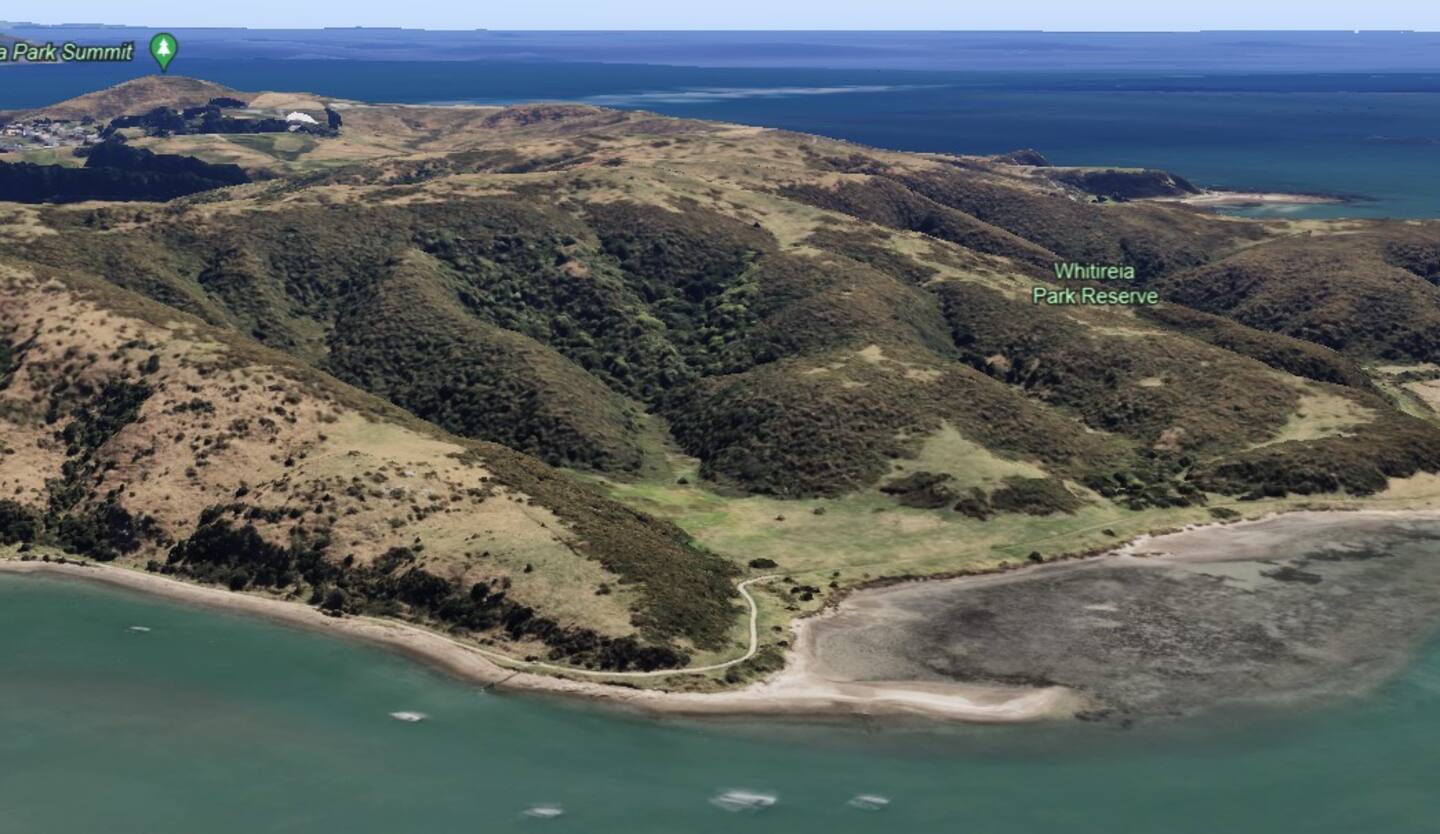 Patricia Burt's remains were found near the centre of this patch of bush in Porirua's Whitireia Park. Image / Google Earth