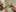 Photo / Unsplash