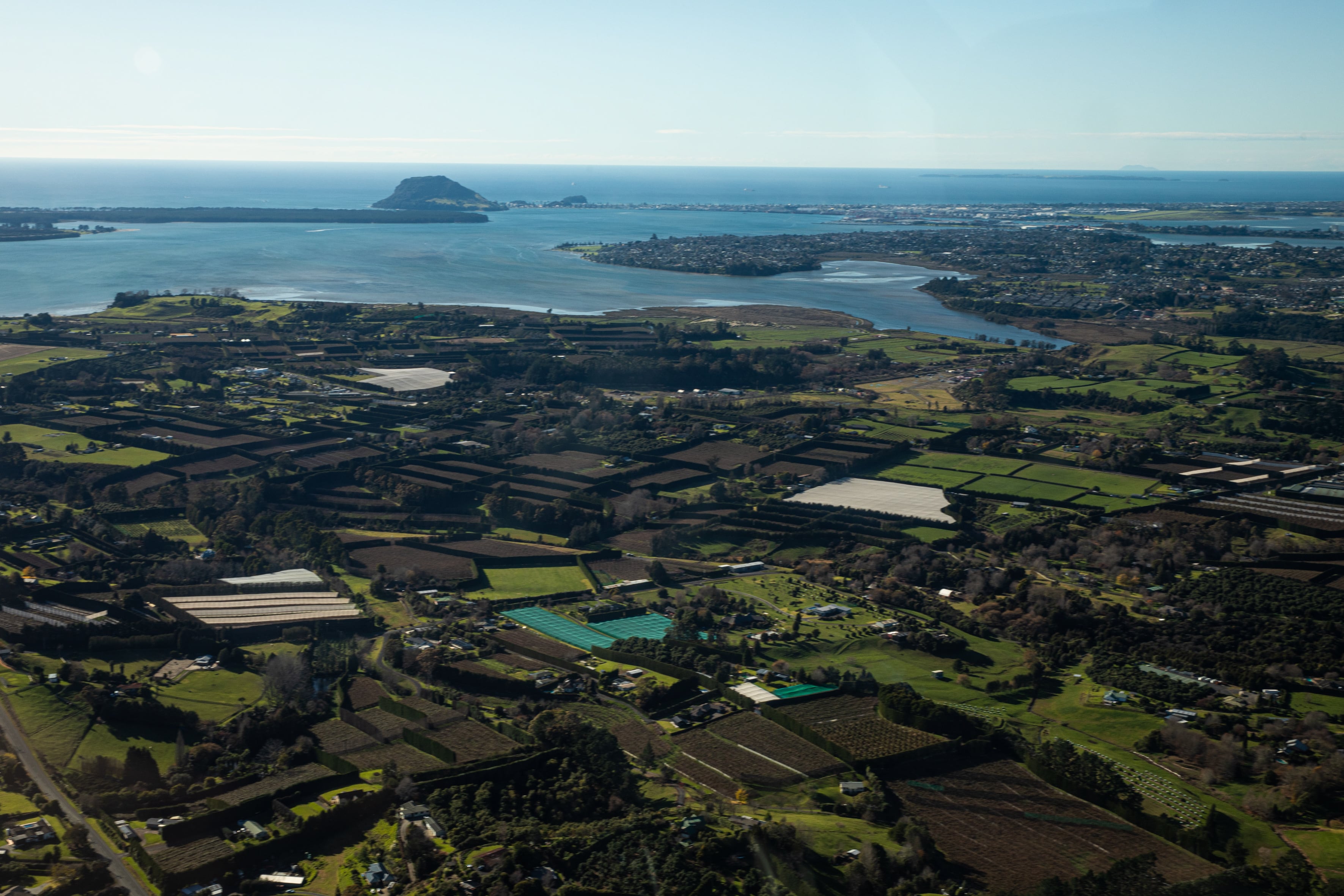 The Western Bay sub region hopes to secure a regional deal. Photo / Mead Norton

