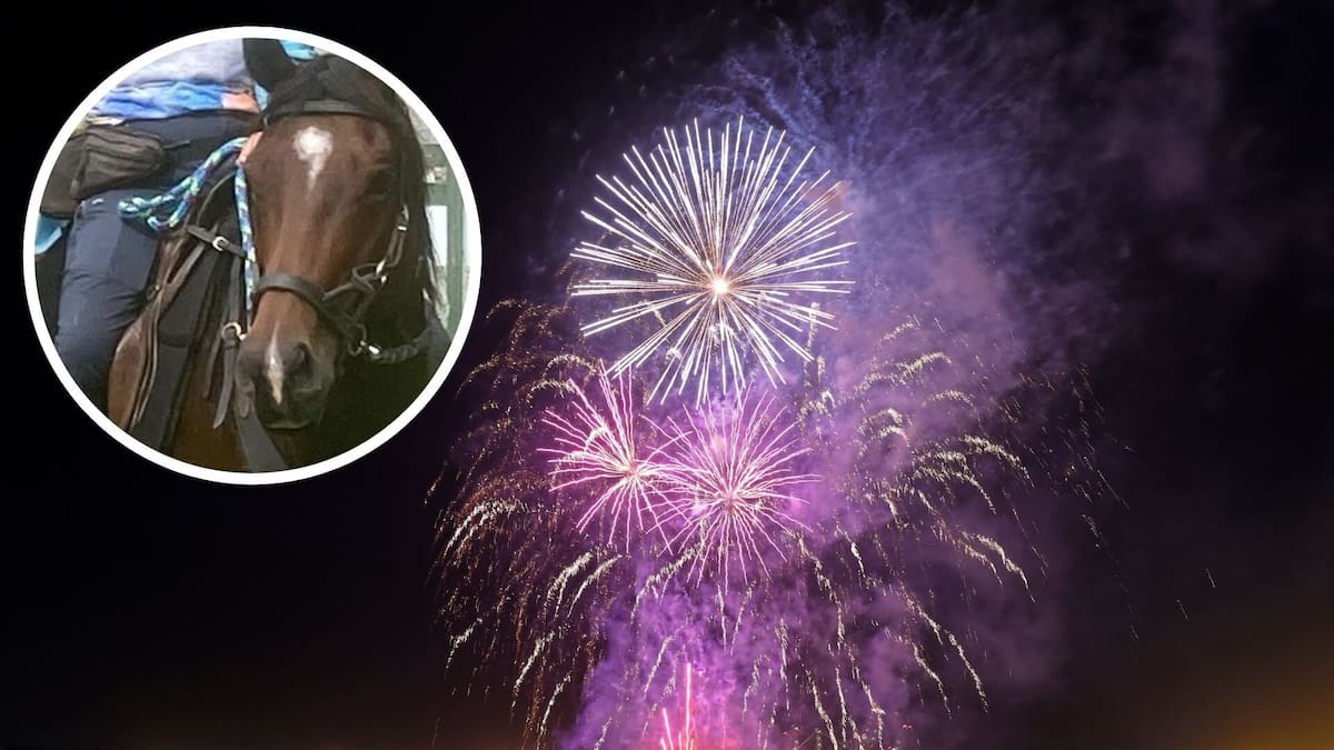 Tauranga fireworks crackdown: Council moves to ban use in public places