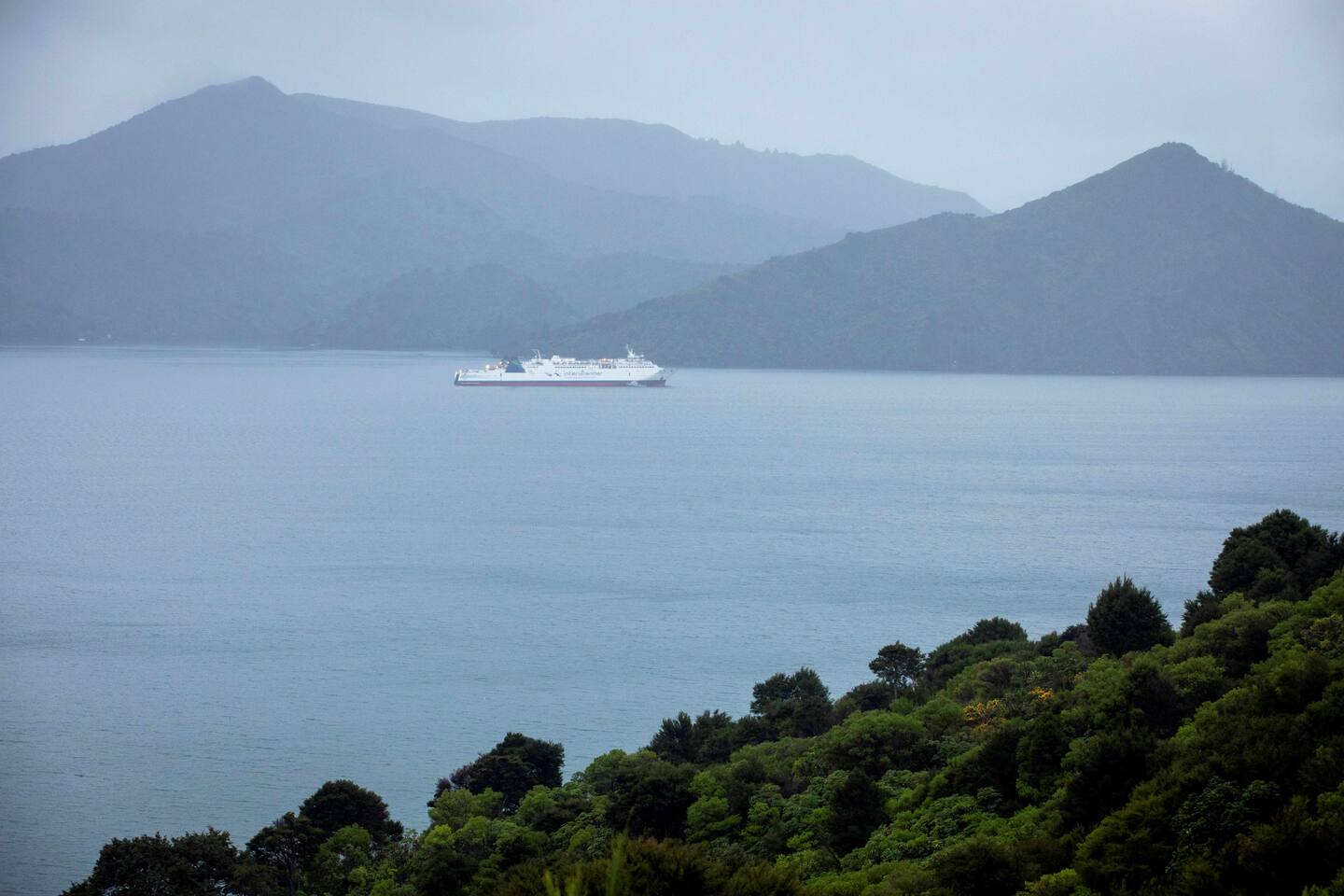 Interislander ferry Aratere seen at anchorage in Picton this morning after running aground on Friday night. Photo / Tim Cuff