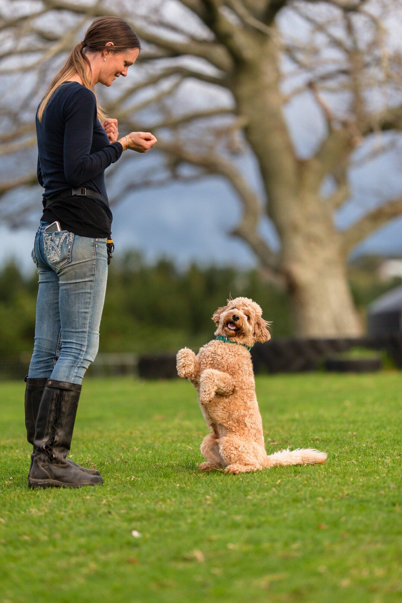  Bex Tasker of Positively Together with her Cavoodle ‘Awhi’.  Photo / BRV Creative