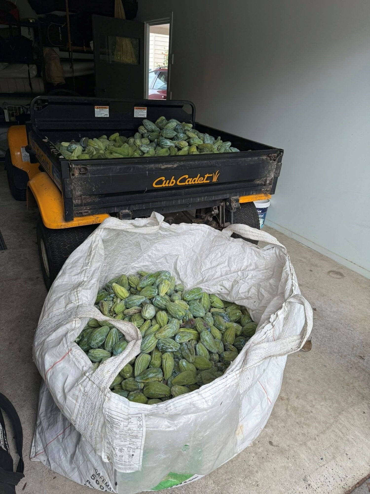 Prizes will be awarded for the biggest collections of moth pods.