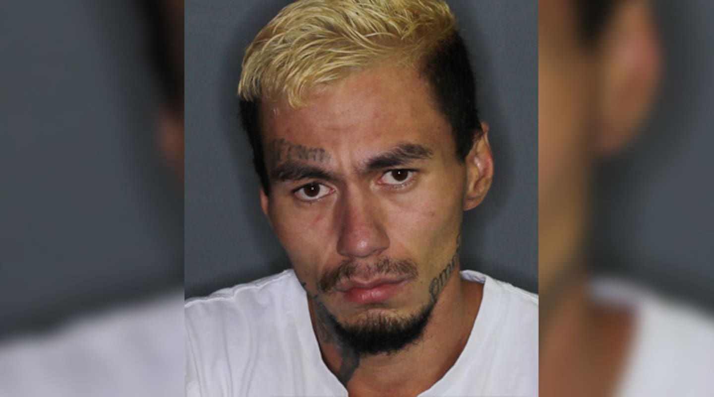 William James Merrin, 29, of Te Awamutu, was described by a judge as the real driver behind a fake bail scheme. Photo / NZ Police