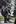 Police arrest a man at Queens Park in Toronto, Saturday, June 26, 2010, during demonstrations as the G20 Summit got underway. Photo / AP
