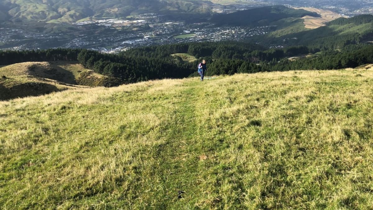 Police seek man after ‘deeply concerning’ attack on popular Porirua trail Police seek man after ‘deeply concerning’ attack on popular Porirua trail