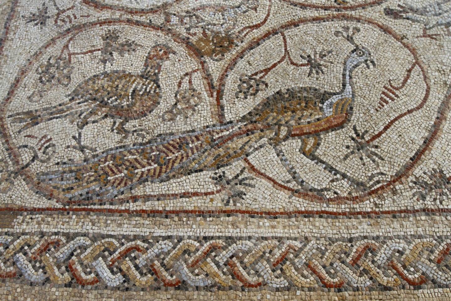 The depot contained artefacts from Gaza’s main sites, with many items photographed to preserve information. Photo / Mohammed Abed, AFP