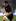 Dan Carter of the All Blacks runs in to score a try during the second Iveco Series test match between the New Zealand All Blacks and England. Photo / Getty Images