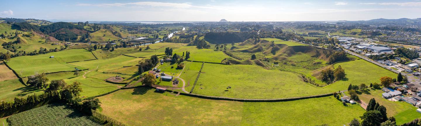 Ferncliffe Farm in Tauriko West is being put back on the market. 