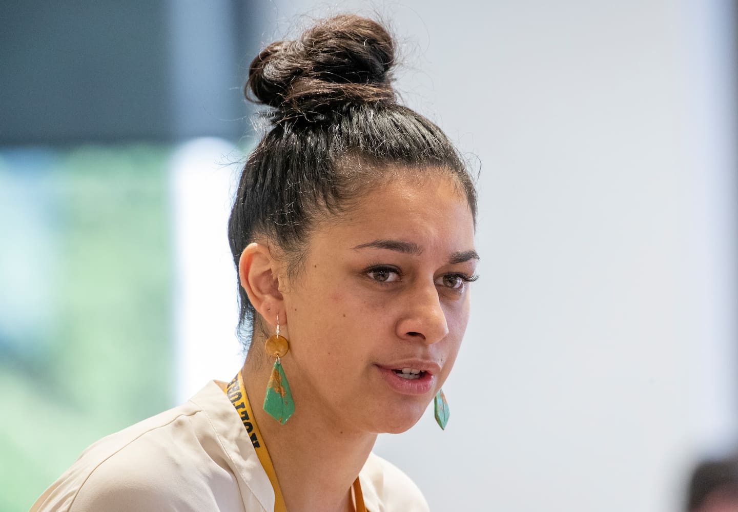 Green MP Tamatha Paul couldn't explain the claims. Photo / Mark Mitchell