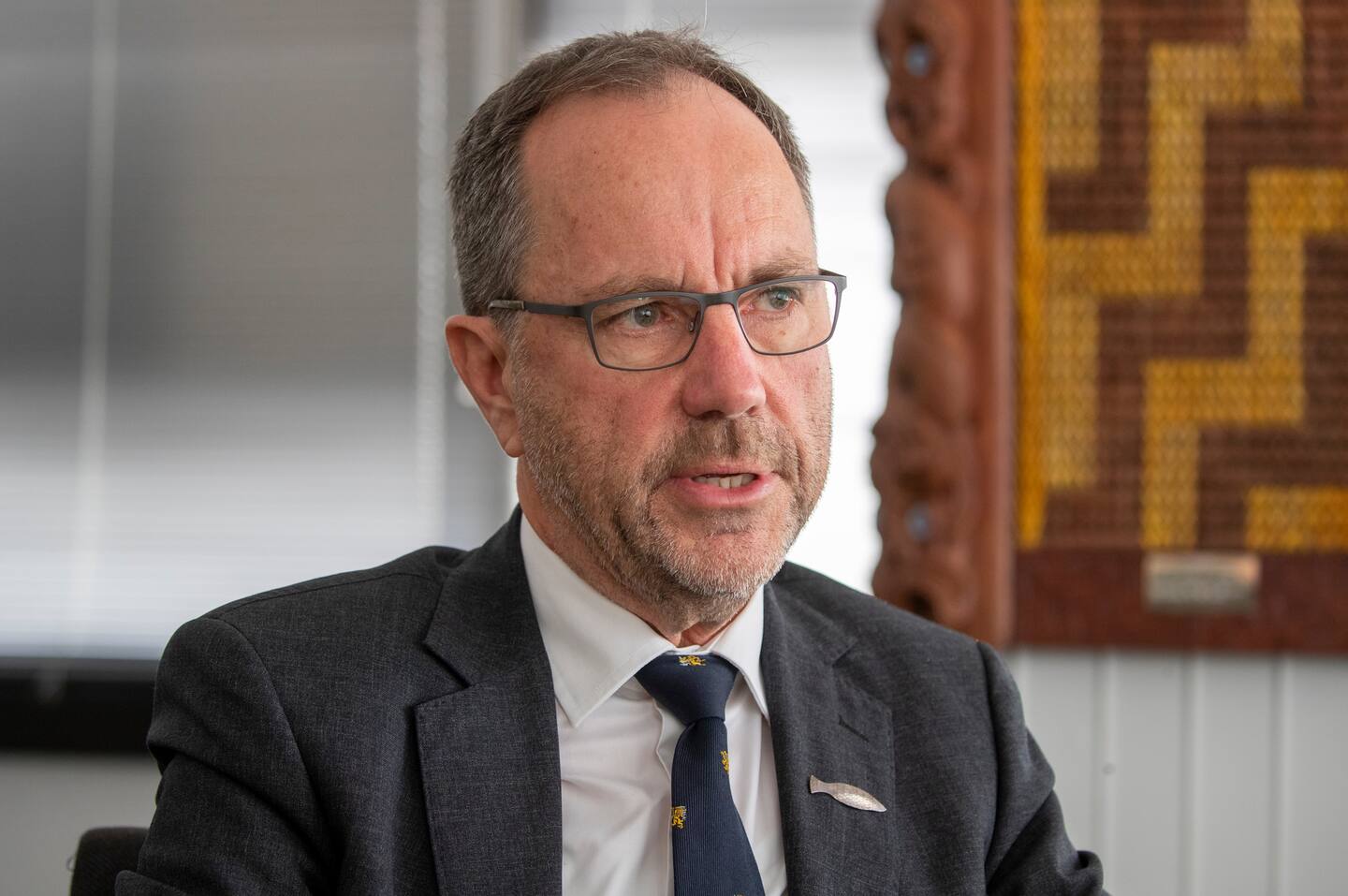 Auditor-General John Ryan. Photo / Mark Mitchell