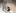 Thursday 10 February: Even the Government's dog knew when the master was having a bad day.