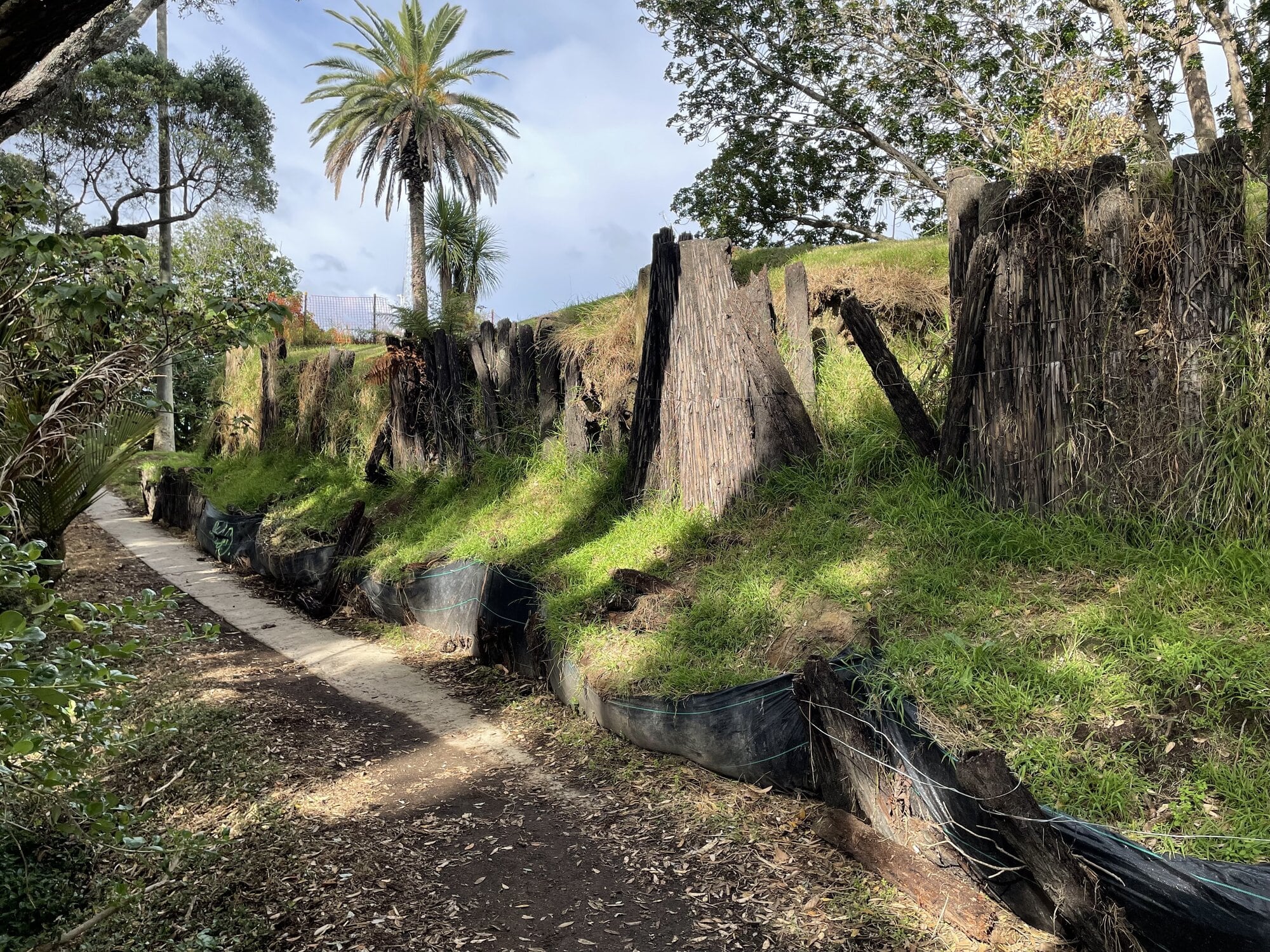 The eastern side of the Monmouth Redoubt before the restoration work. Photo / Supplied