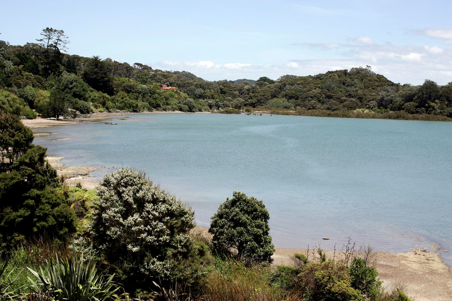 The Watercare boss says “a unique chain of events” led to the overflow in water at Mahurangi. Photo / NZME