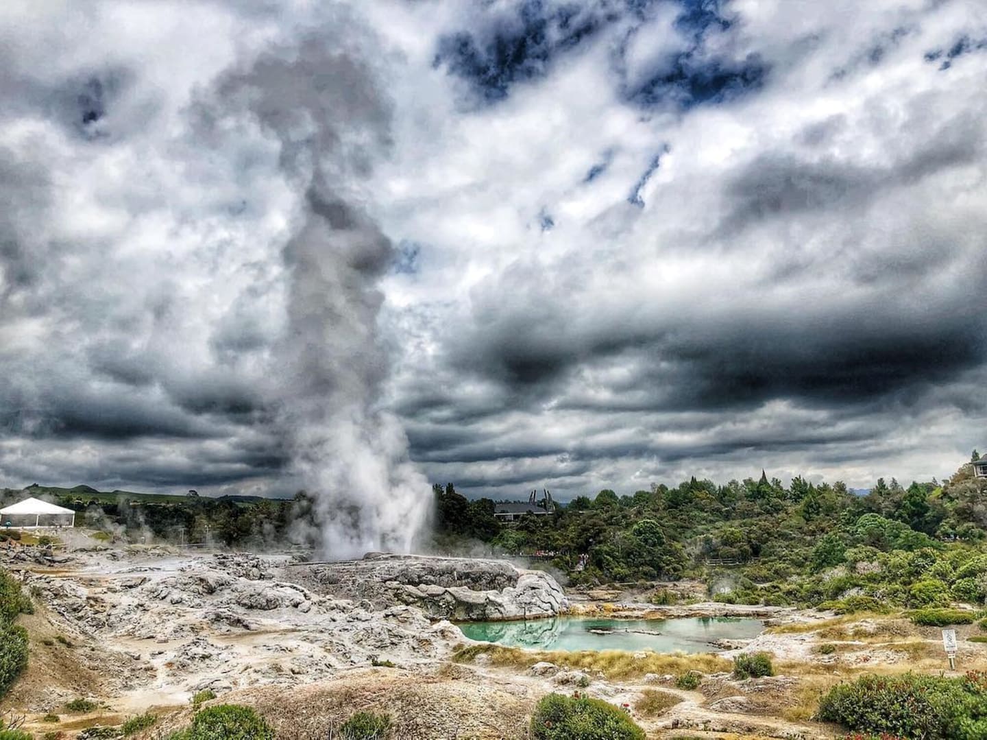 The Blueys at Te Puia is near the base of the famous Pohutu Geyser. Photo / Supplied
