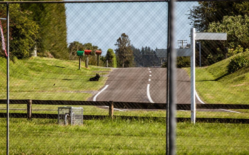 Photo / RNZ, Nick Monro