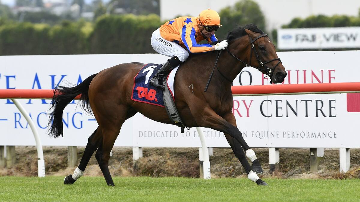 Racing: Te Rapa victory positions Damask Rose for major NZ races - Mick ...