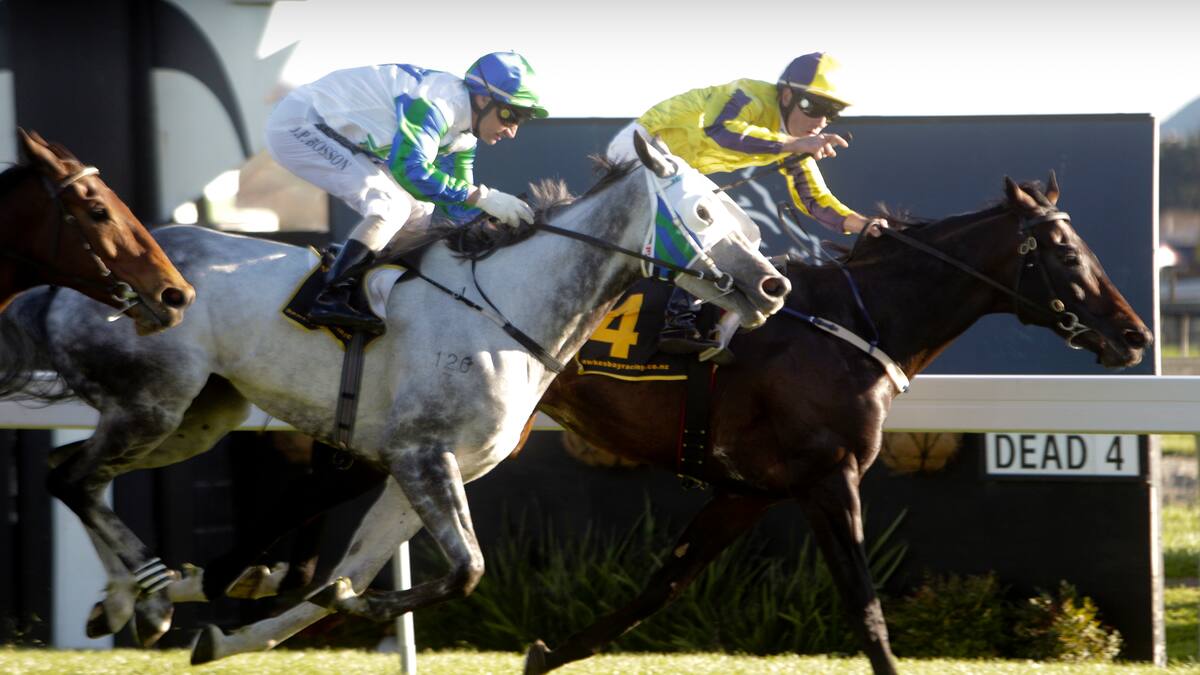 Racing: Chief stipe defends decision to scuttle day - NZ Herald