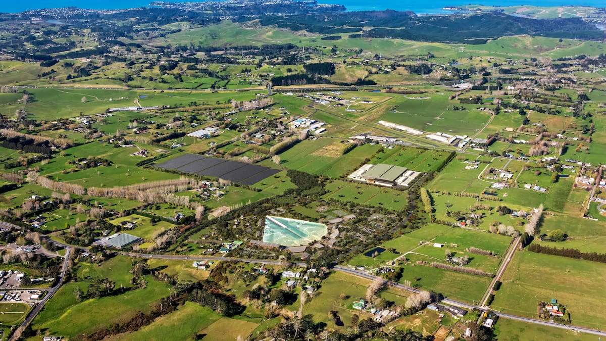 Cow-abunga: Auckland cattle farm could become surf park after purchase ...
