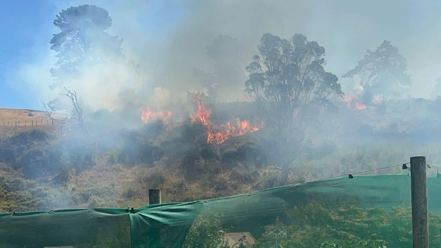 A fire has broken out on a hillside in Fernhill, Hastings, Hawke's Bay. Photo / Rafaella Melo
