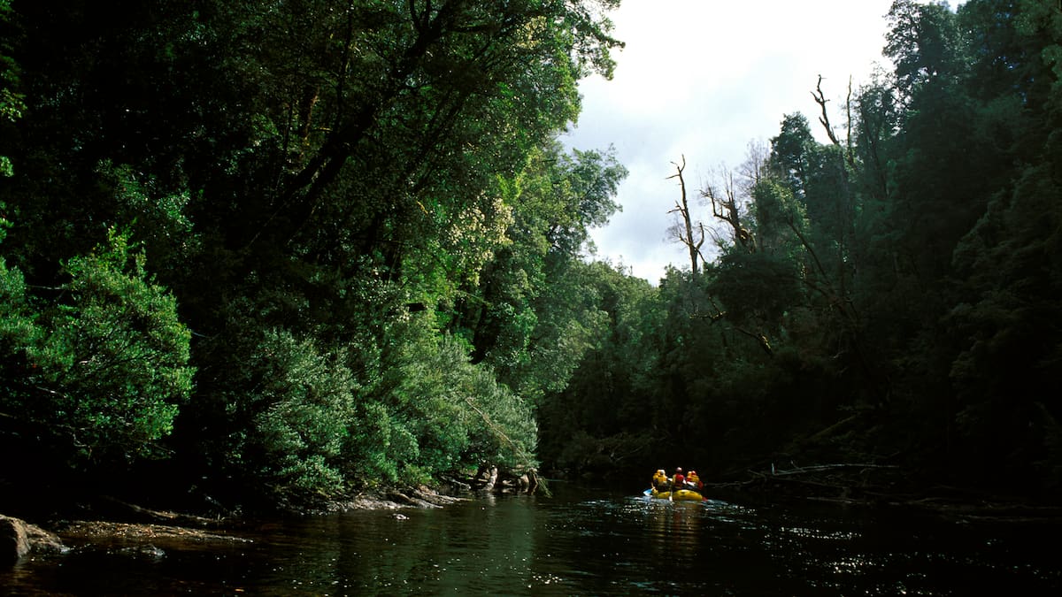Kayaker’s leg amputated after stuck in Australian river rocks Kayaker’s leg amputated after stuck in Australian river rocks