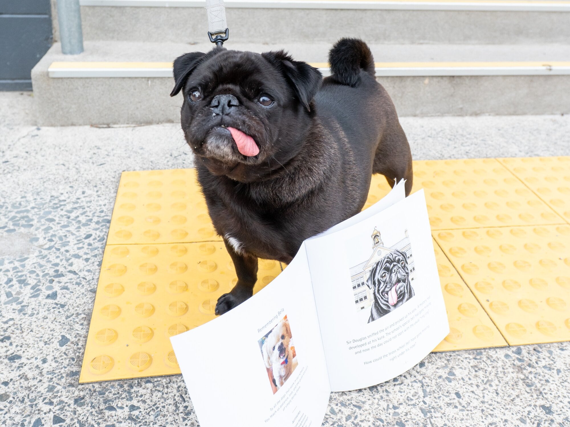 Sir Douglas with Greerton Village School’s new book ‘Connections’. Photo / Brydie Thompson